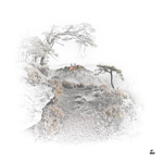 Boutique Cartes (Faire-part) 